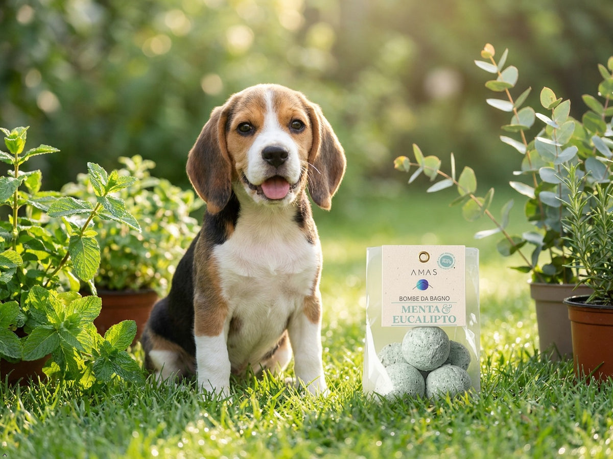 BOMBE BAGNO PET FRIENDLY